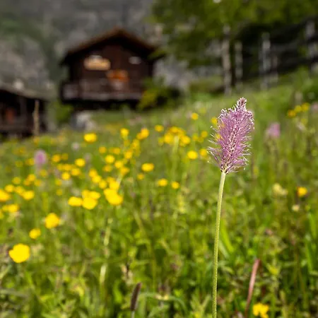 Korn-stadel Arida Prata 