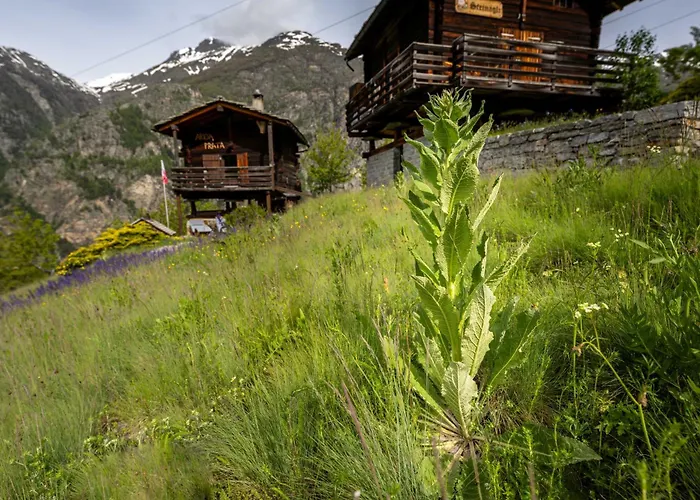 Chalet Korn-stadel Arida Prata Pur Grächen