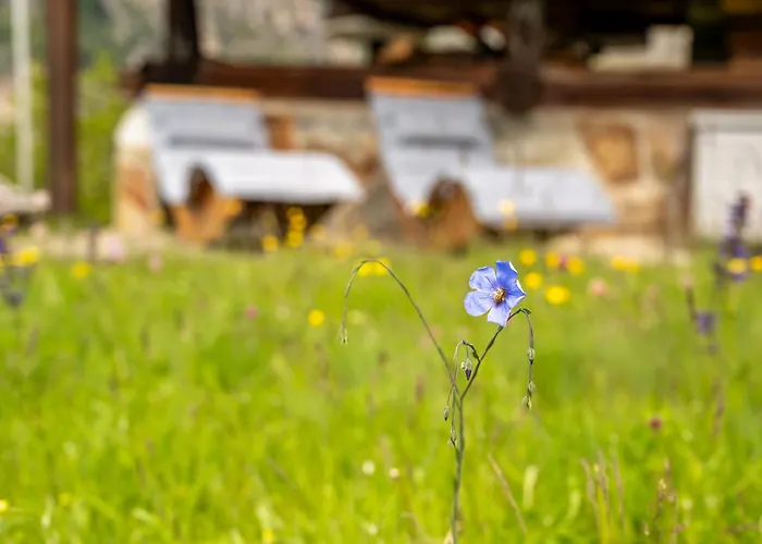 Korn-stadel Arida Prata 