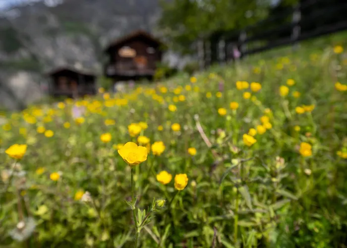 Korn-stadel Arida Prata 