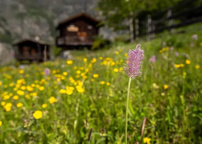 Korn-stadel Arida Prata Pur Chalet Grächen