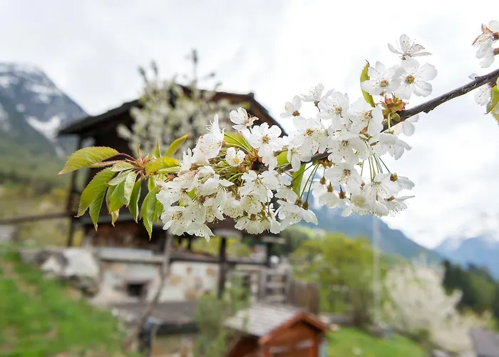 Dağ evi Korn-stadel Arida Prata 