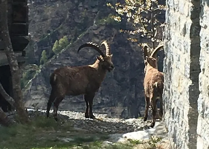 Dağ evi Korn-stadel Arida Prata 