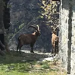 Domek alpejski Korn-stadel Arida Prata 