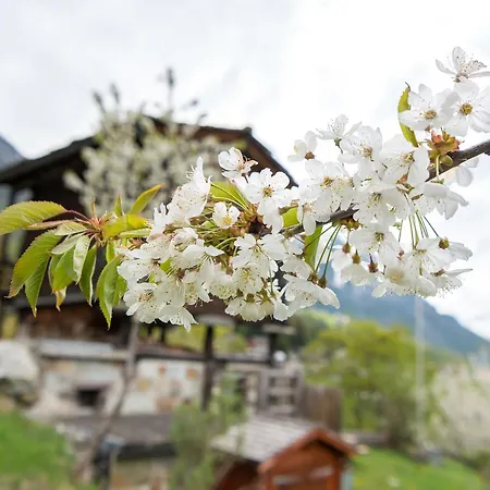 Σαλέ Korn-stadel Arida Prata 