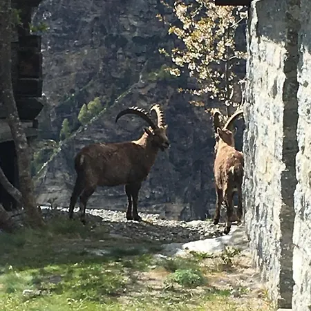 Σαλέ Korn-stadel Arida Prata 